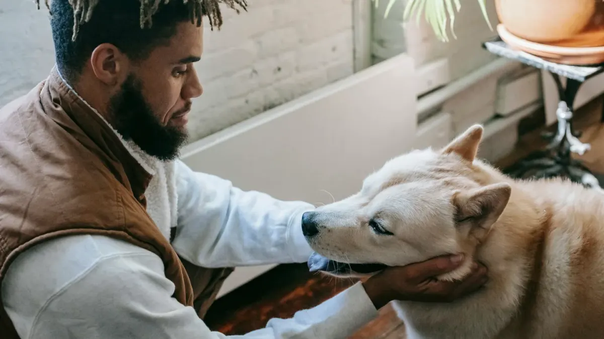 A dog eating from a stainless steel bowl in a home kitchen while an owner watches