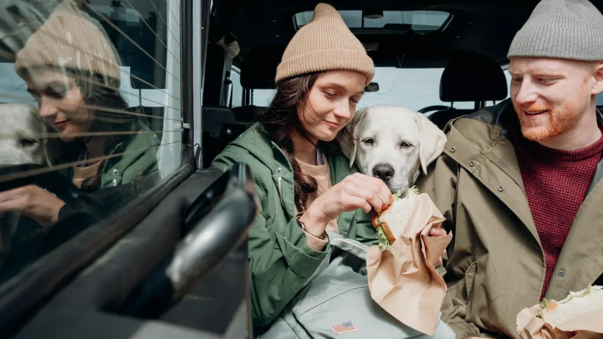 A dog eating from a travel bowl beside a packed car