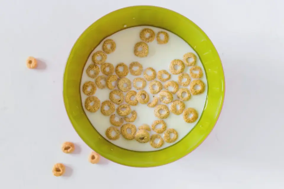 A dog eating kibble from a bowl in a home kitchen