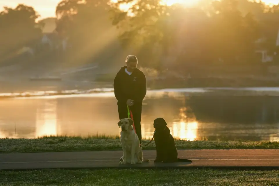 A dog owner offering an oral calming chew to a dog before a stressful event