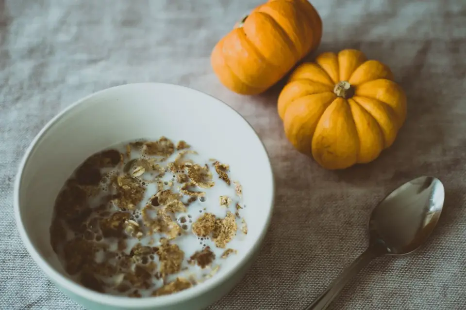A dog&#x27;s food bowl with kibble and a portion of pumpkin measured next to it