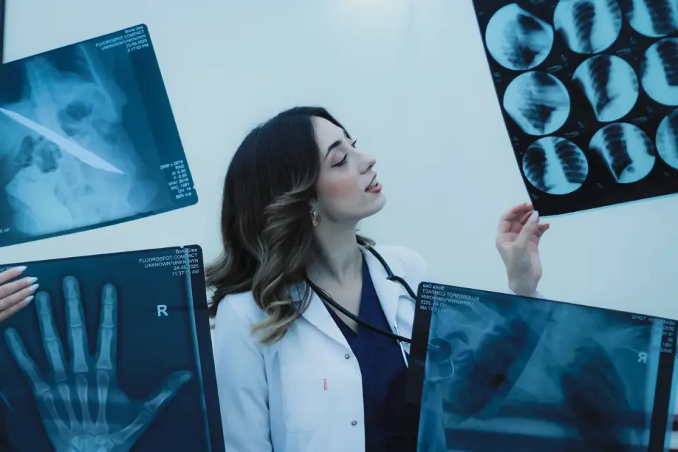 A veterinarian gently examining a dog&#x27;s abdomen during a wellness checkup