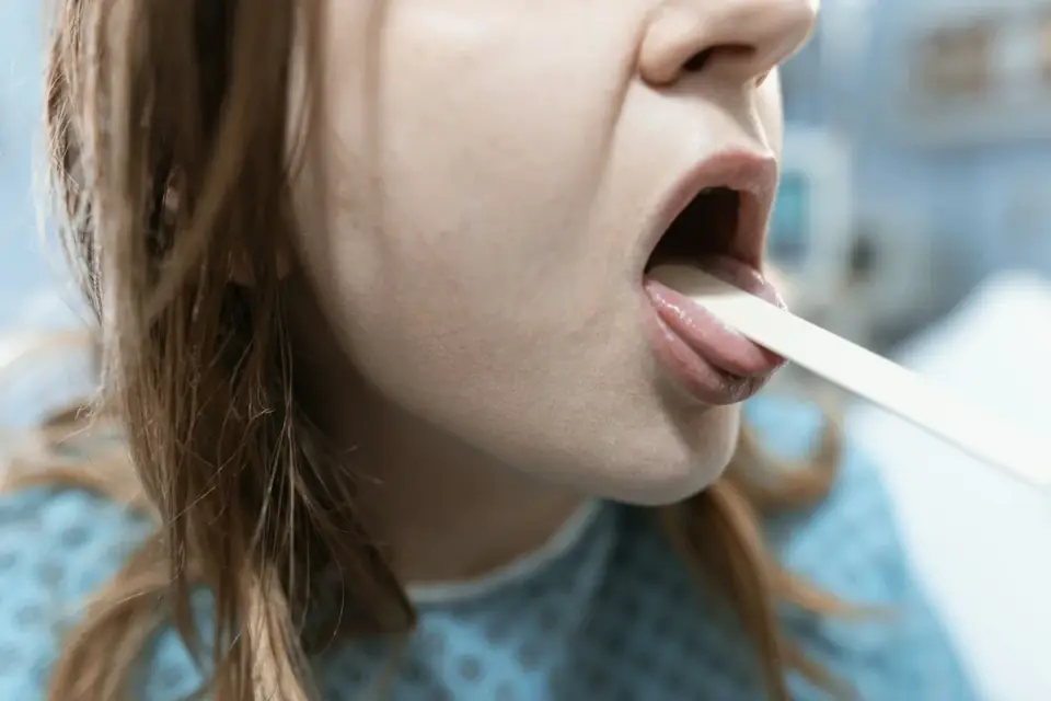 A veterinarian gently examining a dog&#x27;s mouth and throat during a checkup