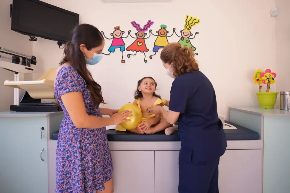 A veterinarian palpates a dog&#x27;s abdomen during an exam