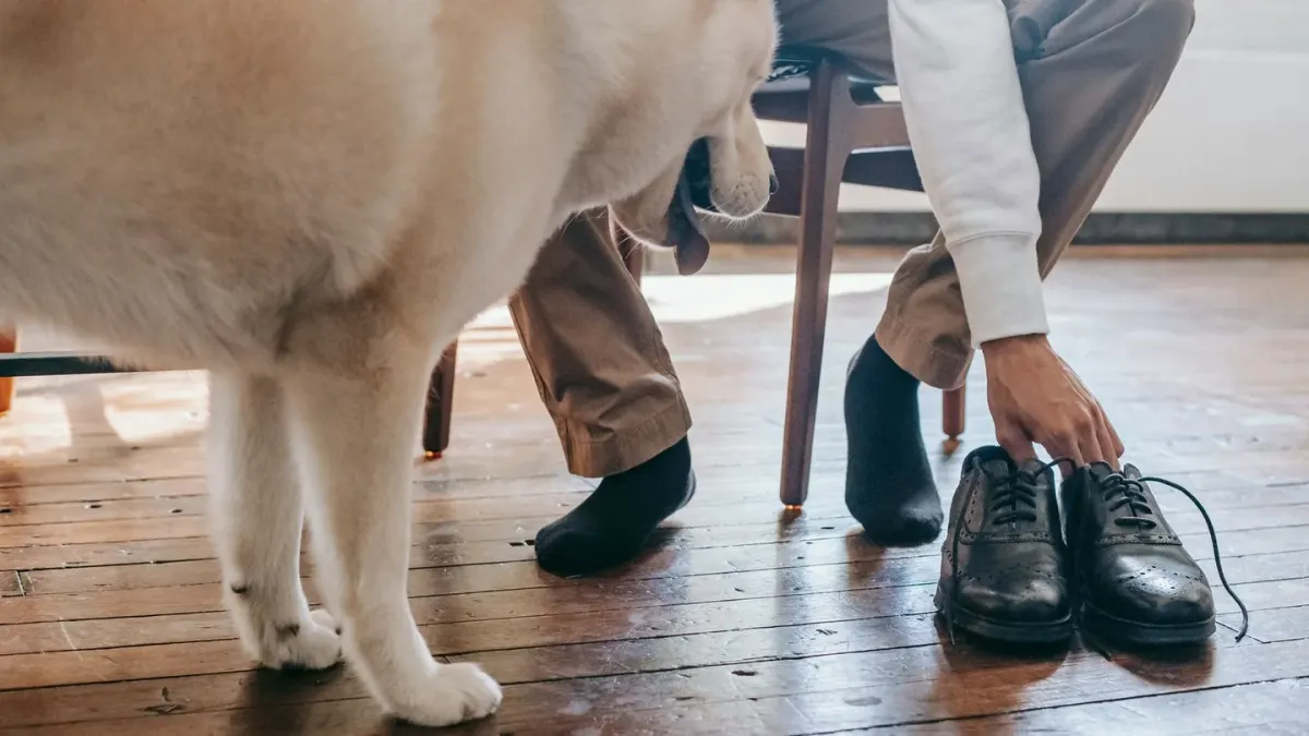 An owner reads a medication label while a dog waits attentively on the kitchen floor
