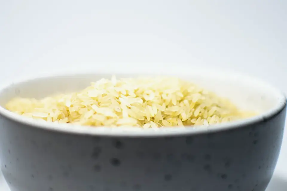 Bowl of a bland, easily digestible diet prepared for a dog with gut upset