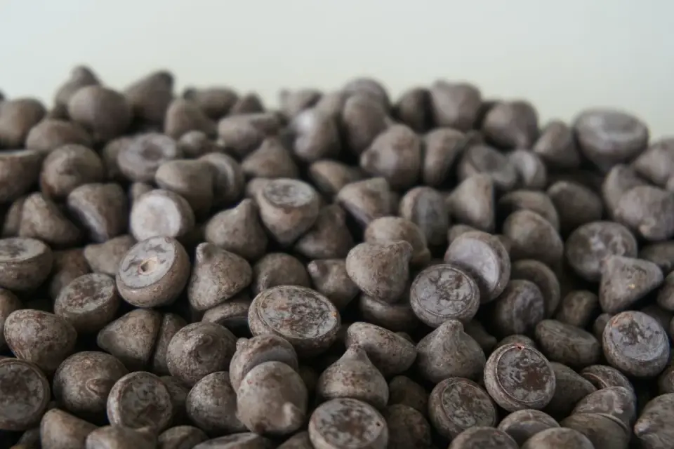 Close-up of a dog treat bag label showing ingredient and CFU information
