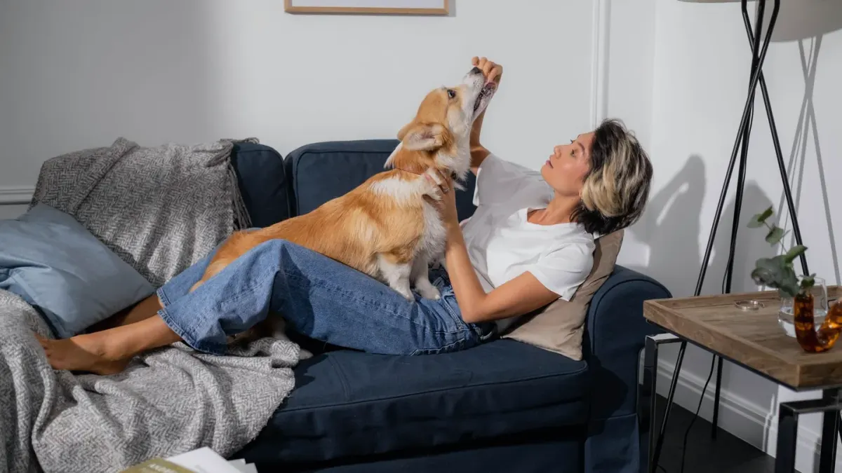 Dog eating from a bowl at home