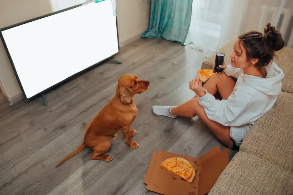 Dog eating from a bowl at home