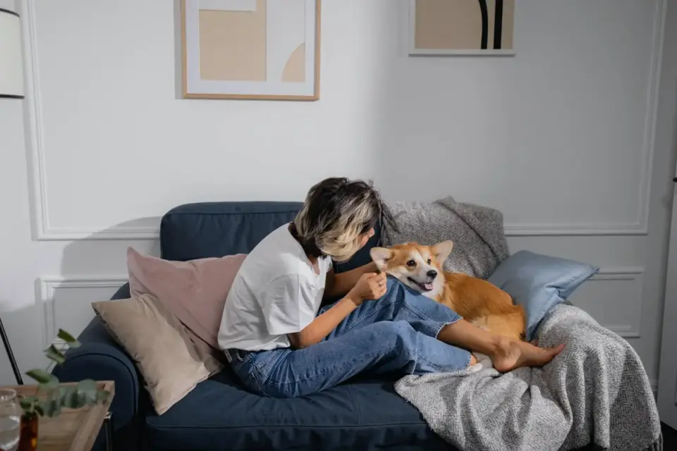 Dog eating from a bowl at home