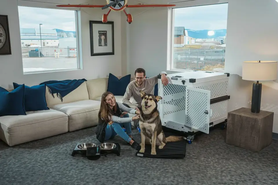Dog eating from a bowl at home