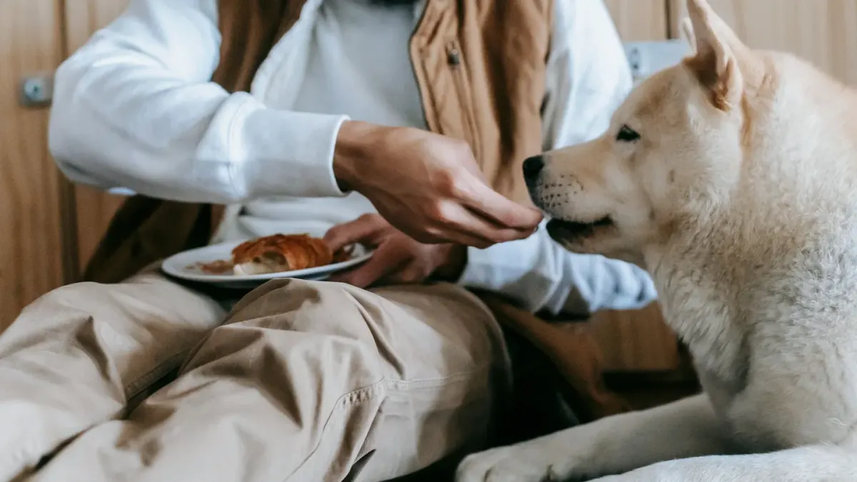 Dog eating from a bowl at home