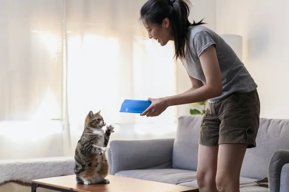 Dog eating from a bowl at home