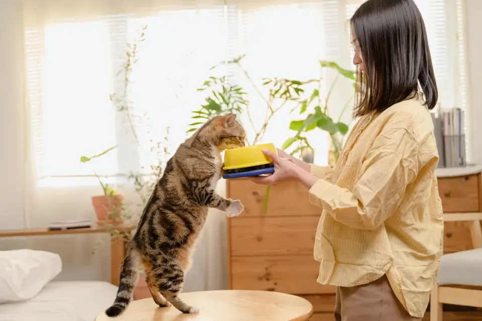 Dog eating from a bowl at home