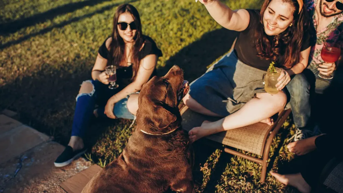 Dog eating outdoors