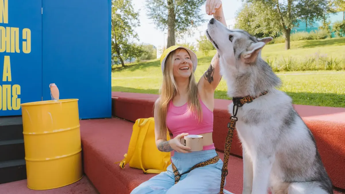 Dog eating outdoors