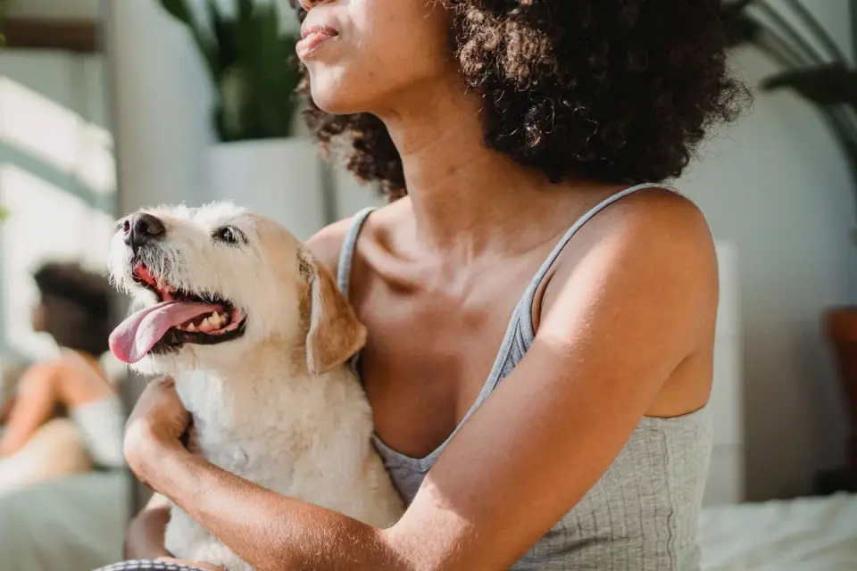 Dog in a kitchen with an owner