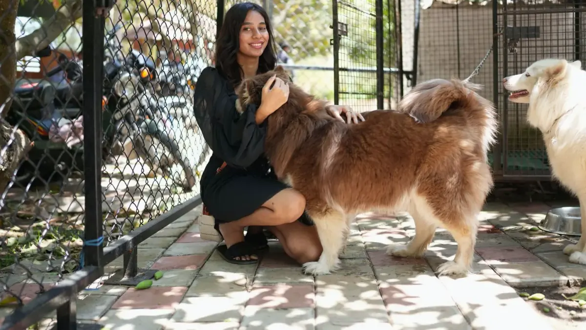 Dog in a kitchen with an owner