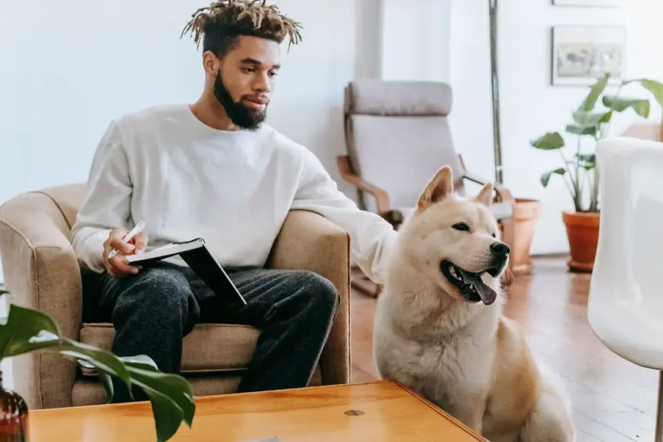 Dog in a kitchen with an owner