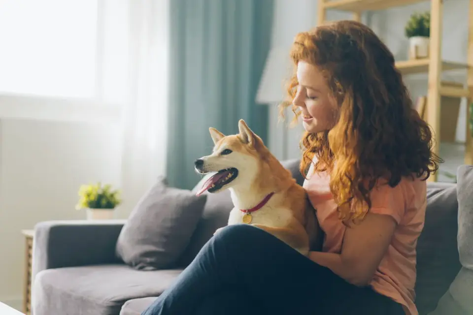Dog in a kitchen with an owner