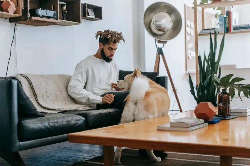Dog in a kitchen with an owner