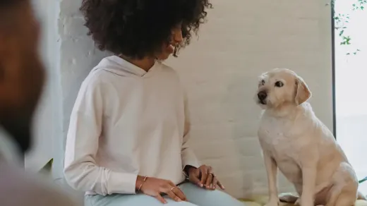 Dog in a kitchen with an owner