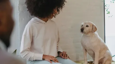 Dog in a kitchen with an owner