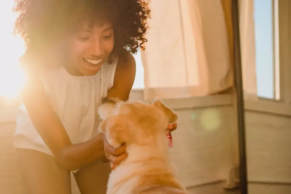 Dog in a kitchen with an owner