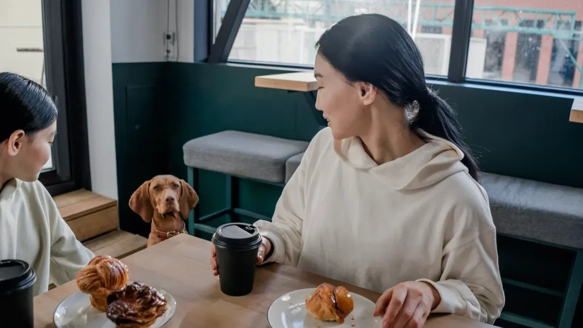 Dog looking at an owner