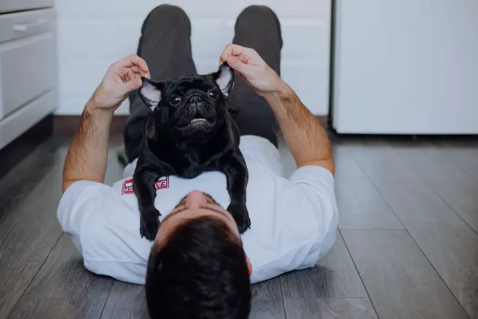 Dog owner preparing a meal