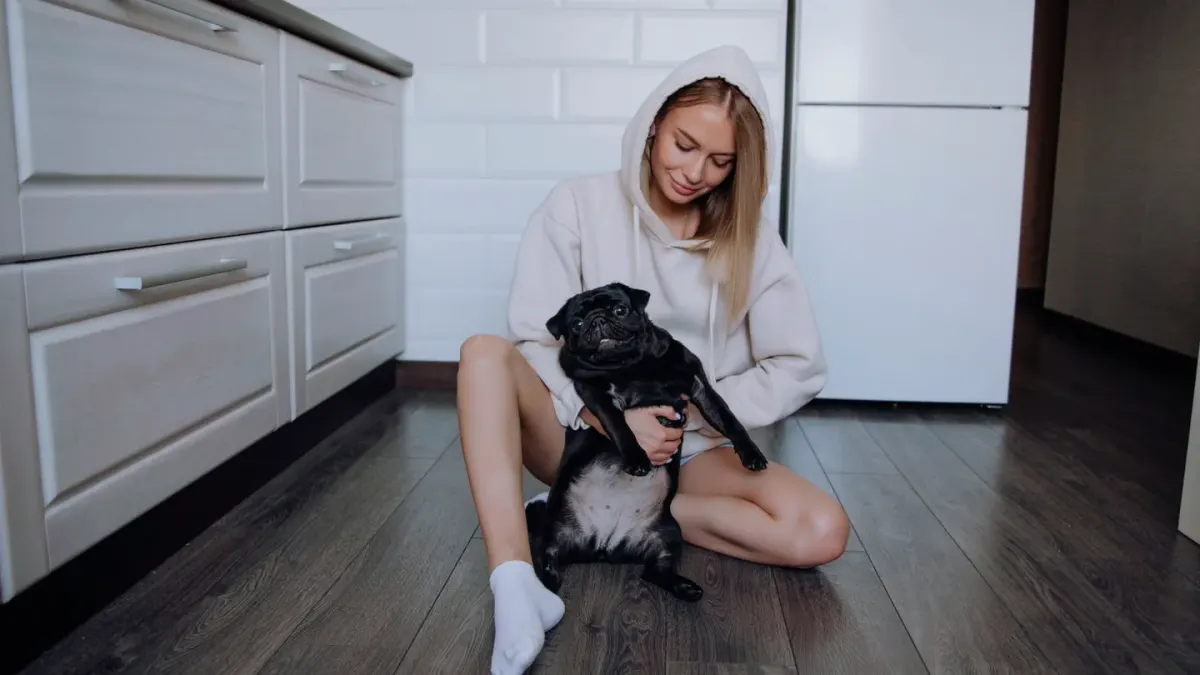 Dog owner preparing a meal