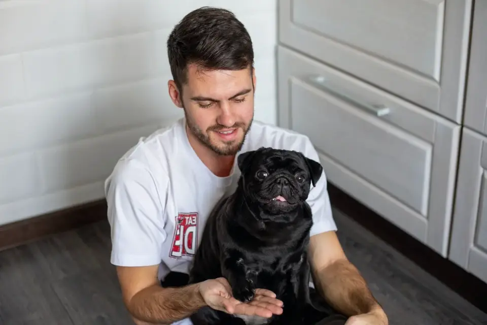 Dog owner preparing a meal