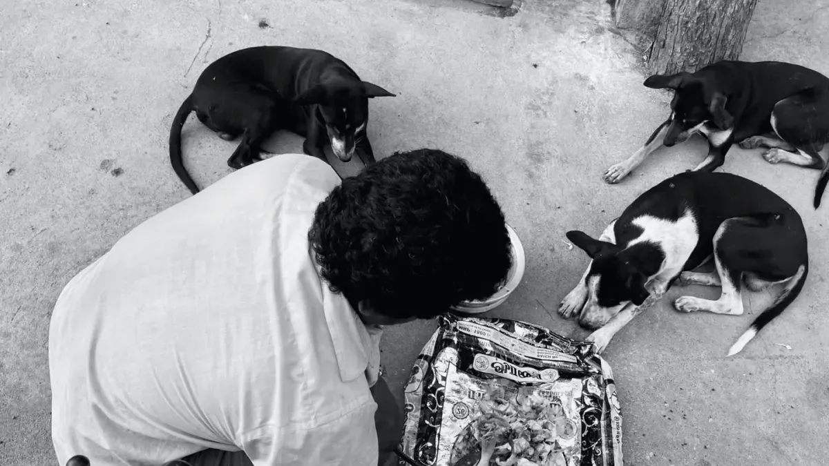 Dog owner preparing a meal