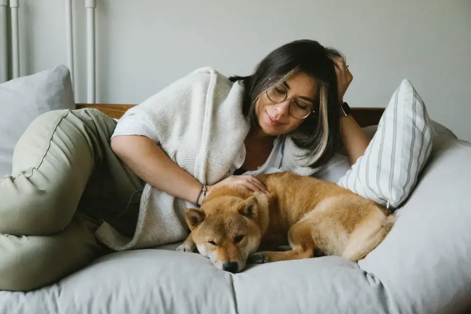 Dog resting beside an owner