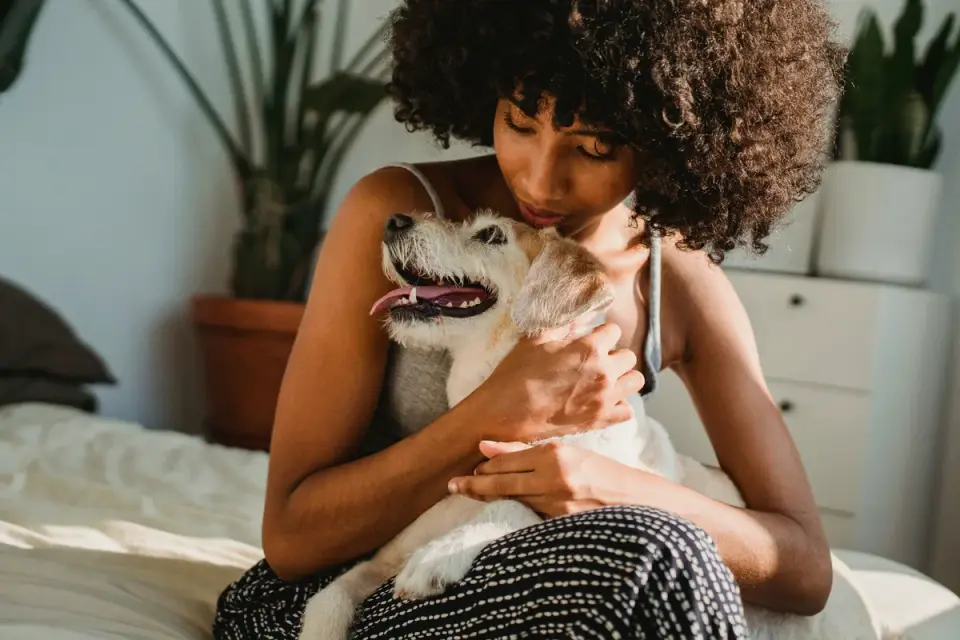 Dog resting beside an owner