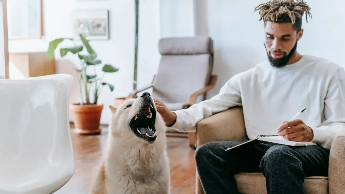 Dog resting beside an owner