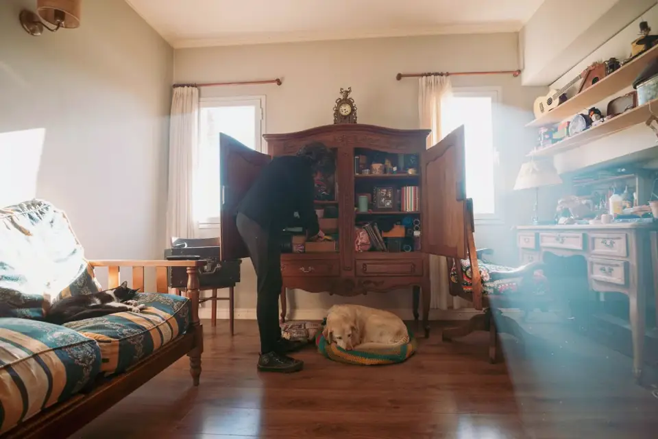Dog resting beside an owner