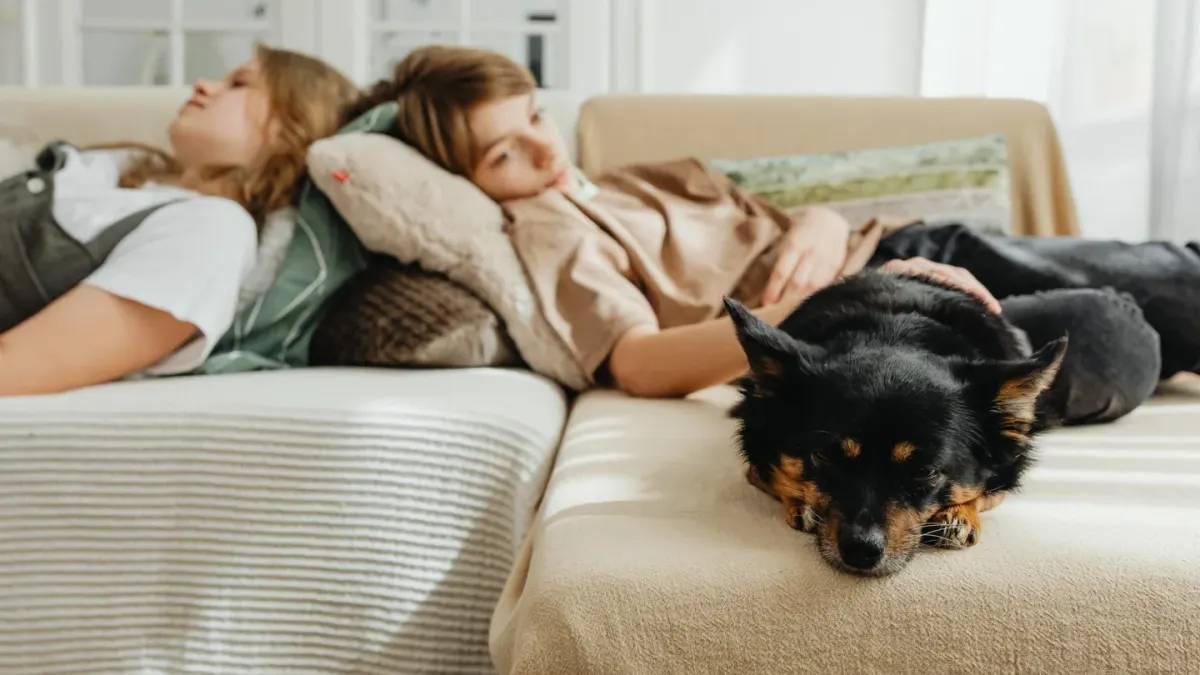 Dog resting beside an owner