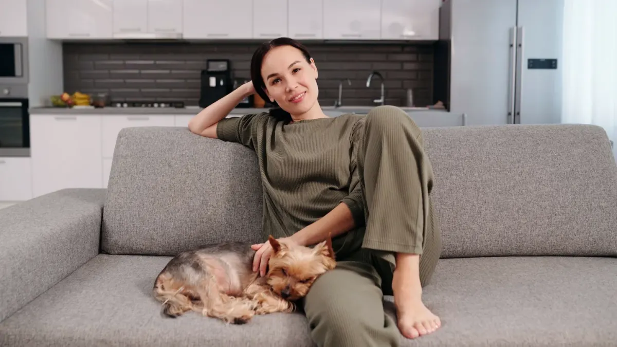 Dog resting beside an owner