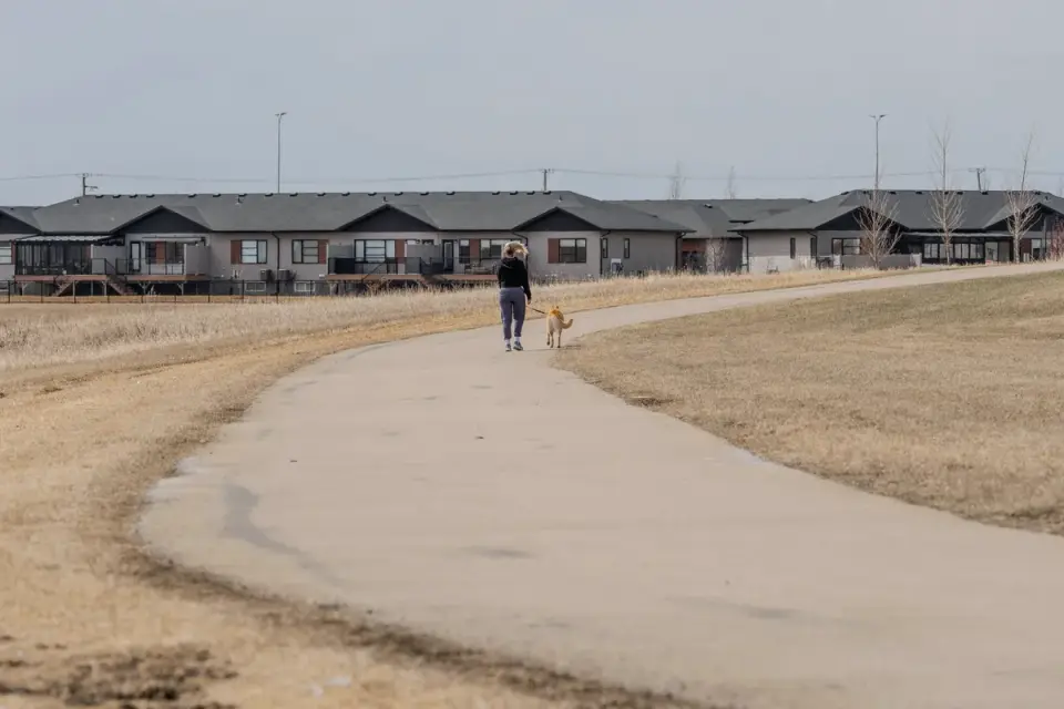 Dog walking with an owner