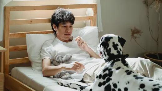 Dog with an owner at home