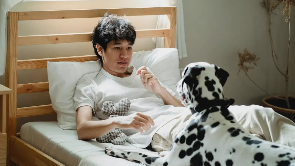 Dog with an owner at home