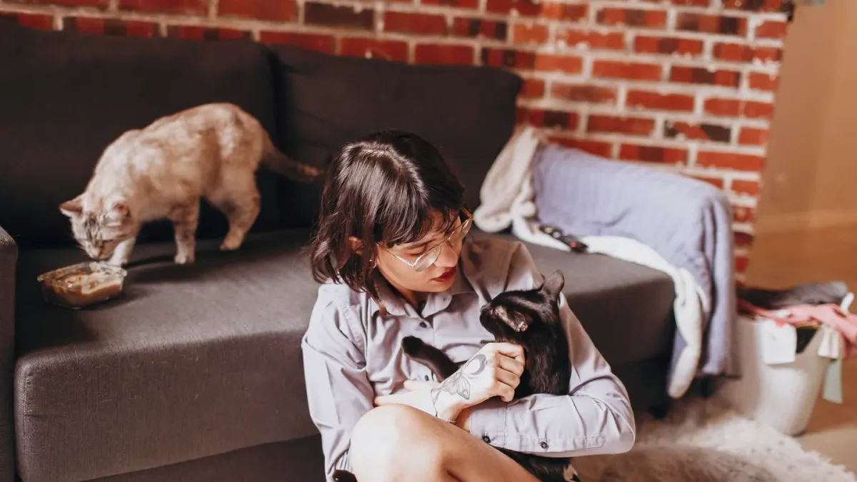 Dog with an owner at home