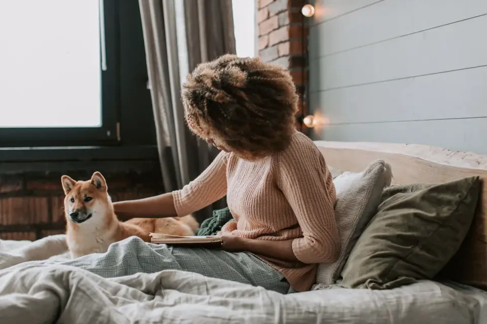 Dog with an owner at home
