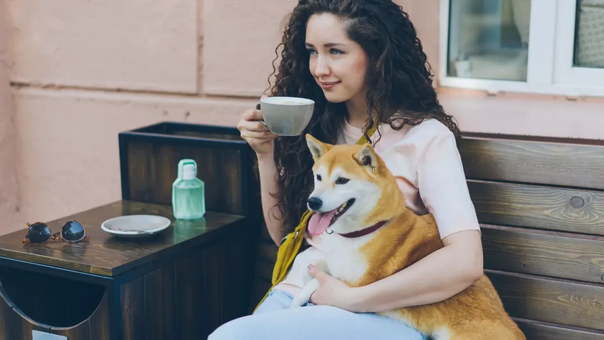 Dog with an owner at home